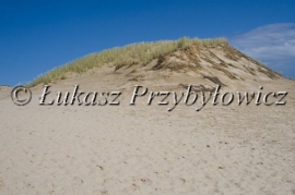 powiększ